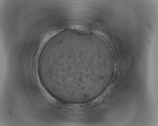 X0000111800049200908061207