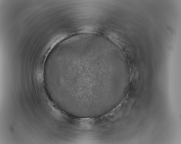 X0000111800050200908061207