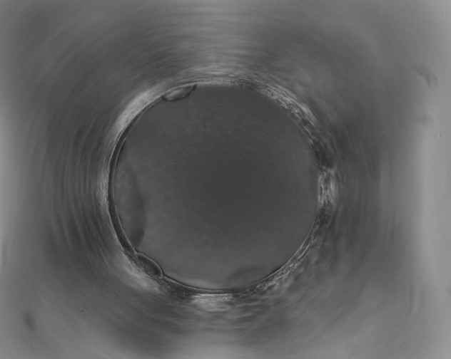 X0000111800051200908061207
