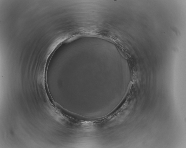 X0000111800052200908061207
