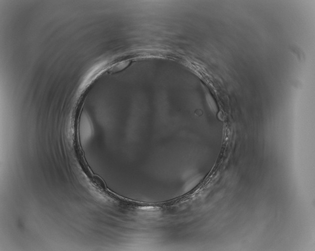 X0000111800053200908061207