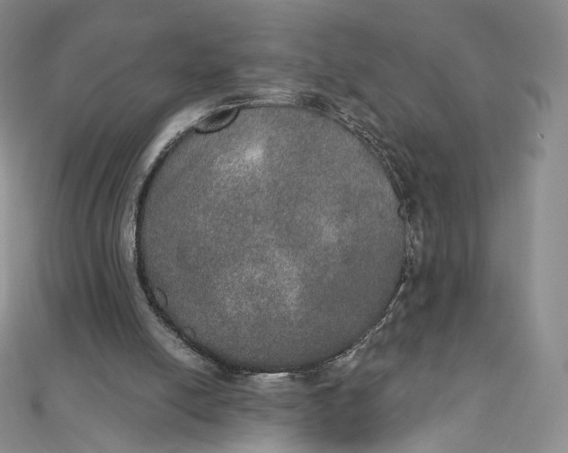 X0000111800054200908061207