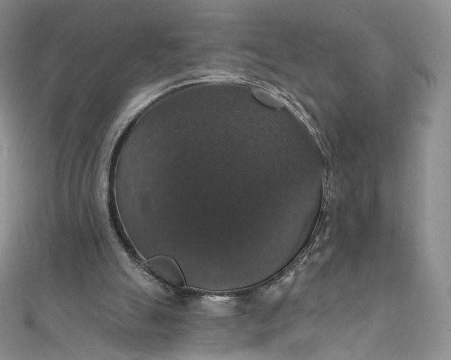 X0000111800055200908061207