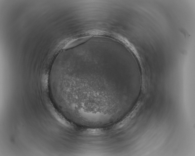 X0000111800057200908061207