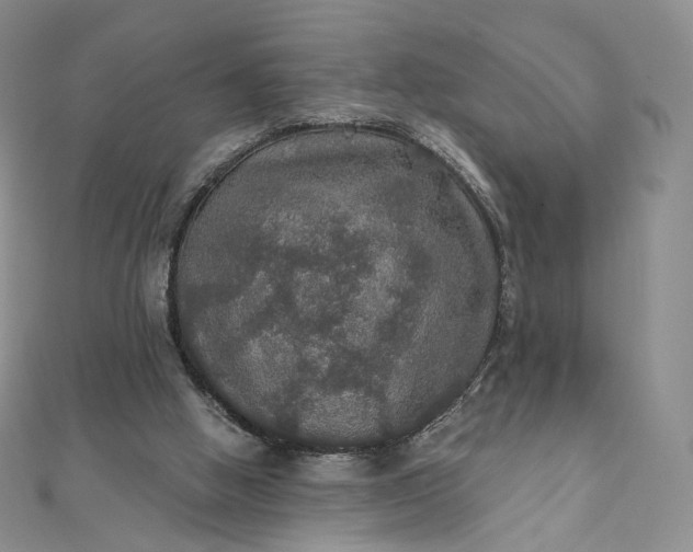 X0000111800058200908061207