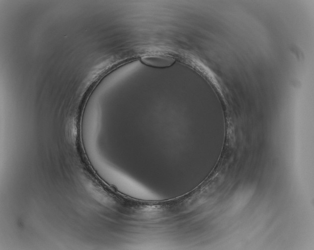 X0000111800059200908061207