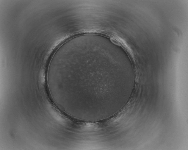 X0000111800060200908061207
