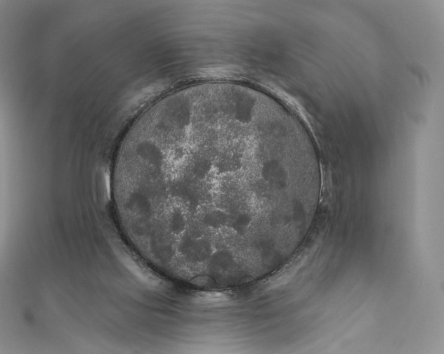 X0000111800061200908061207