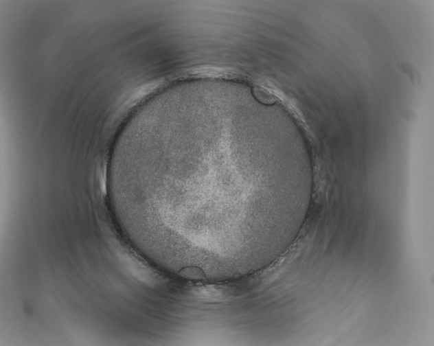 X0000111800062200908061207