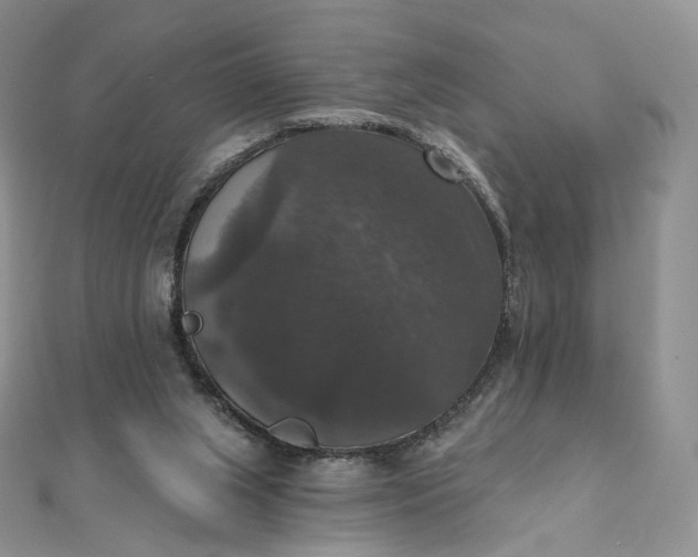 X0000111800063200908061207