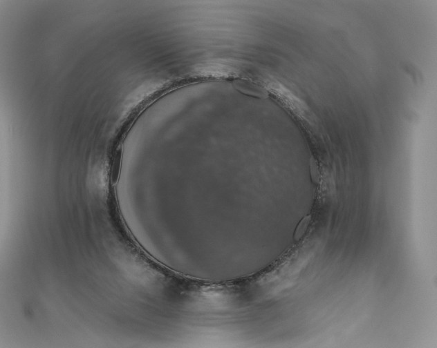X0000111800064200908061207