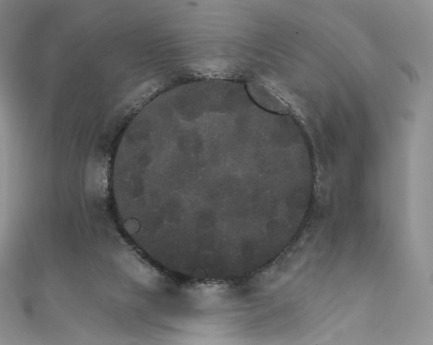 X0000111800065200908061207