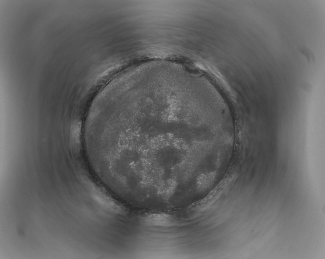 X0000111800066200908061207