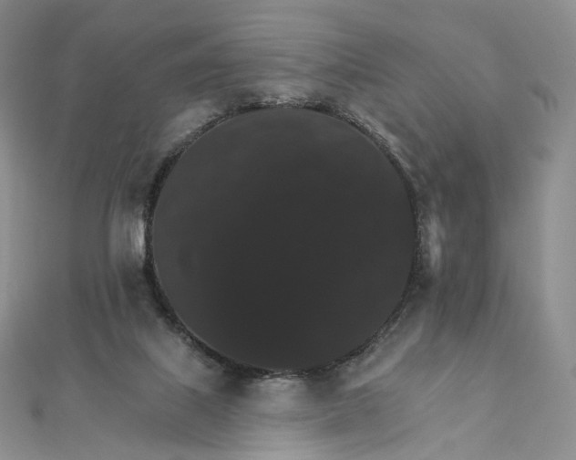 X0000111800067200908061207