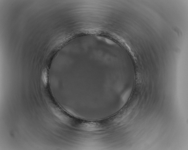X0000111800069200908061207