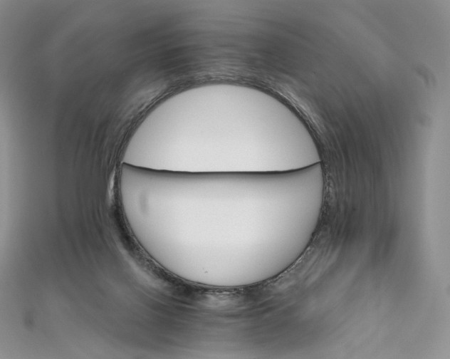 X0000111800070200908061207