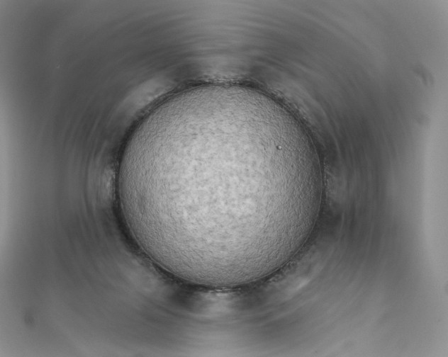 X0000111800071200908061207