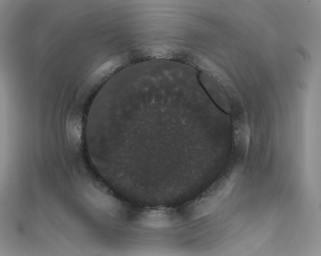 X0000111800072200908061207