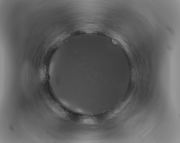 X0000111800073200908061207