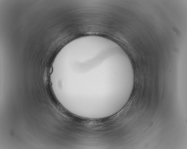 X0000111800074200908061207