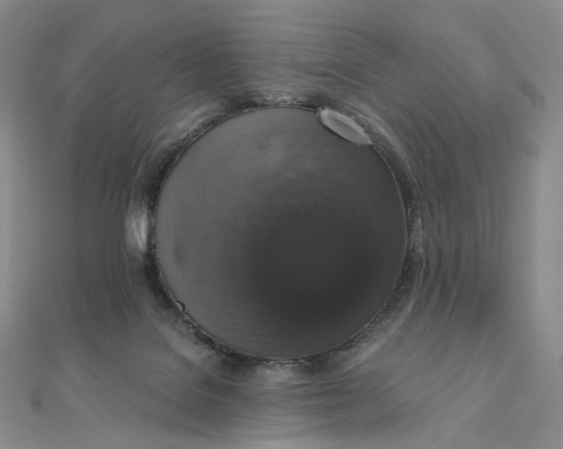 X0000111800076200908061207