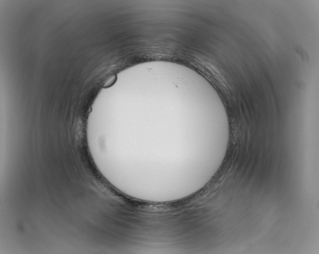 X0000111800077200908061207