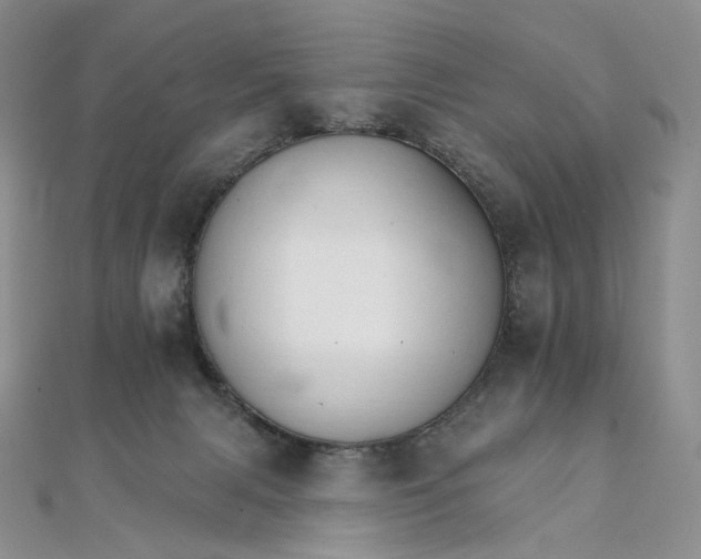 X0000111800079200908061207