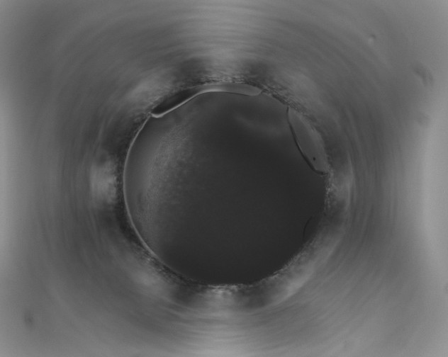 X0000111800080200908061207