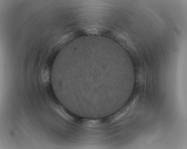 X0000111800081200908061207