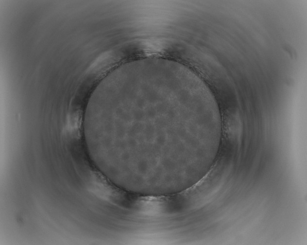 X0000111800082200908061207