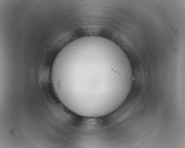 X0000111800083200908061207