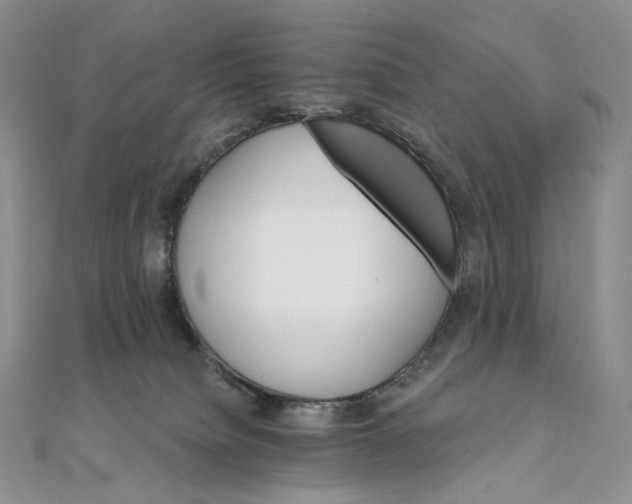 X0000111800084200908061207