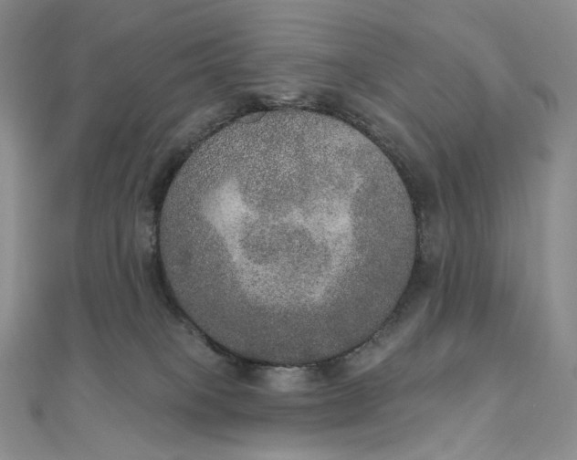 X0000111800085200908061207