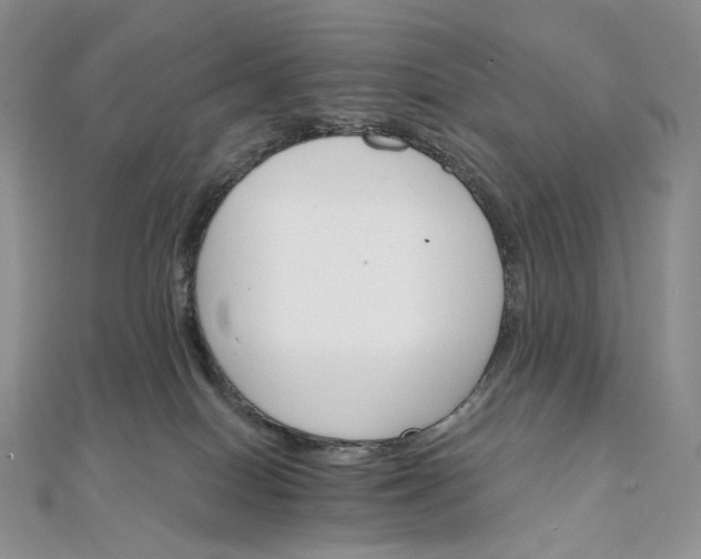 X0000111800086200908061207