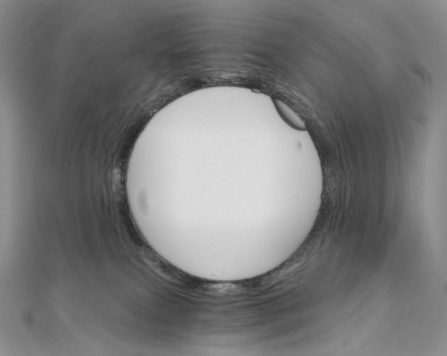 X0000111800087200908061207