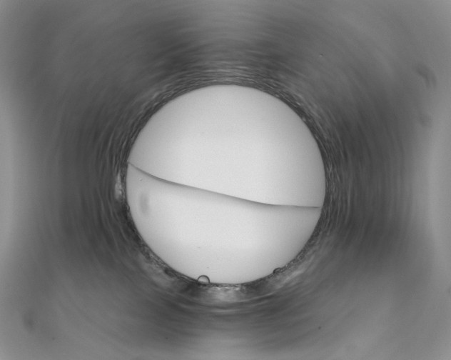 X0000111800089200908061207