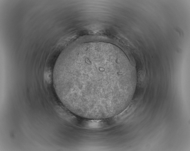 X0000111800090200908061207