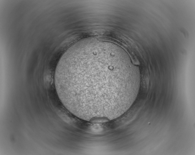 X0000111800091200908061207
