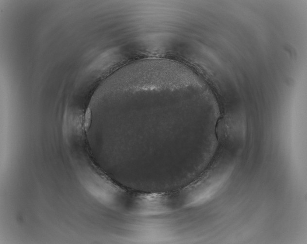 X0000111800092200908061207