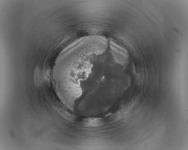 X0000111800093200908061207