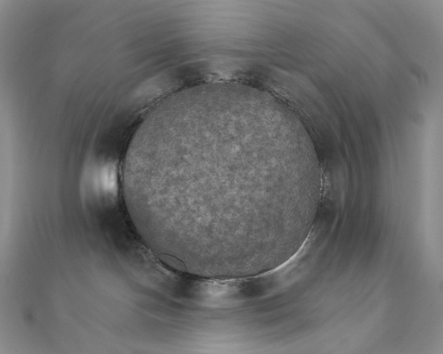 X0000111800094200908061207