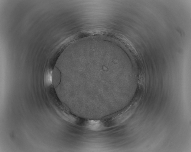 X0000111800095200908061207