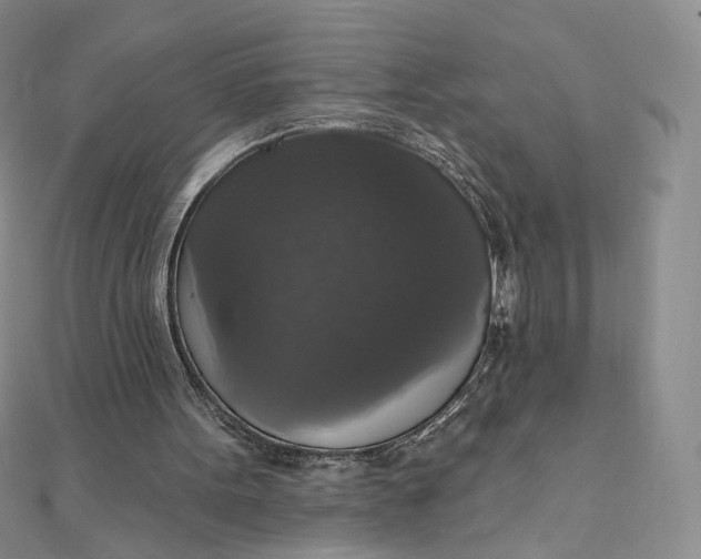 X0000111800099200908061207