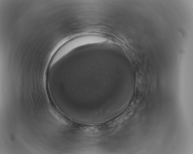 X0000111800100200908061207