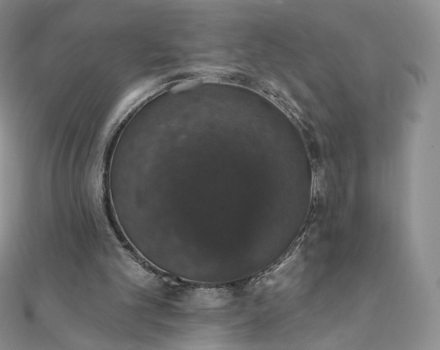 X0000111800101200908061207
