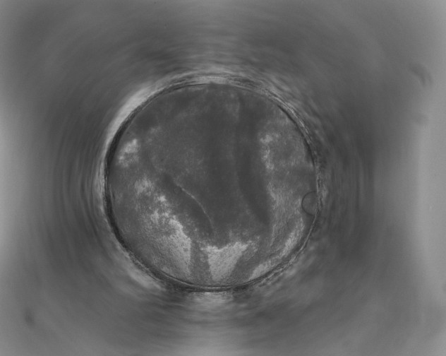 X0000111800102200908061207
