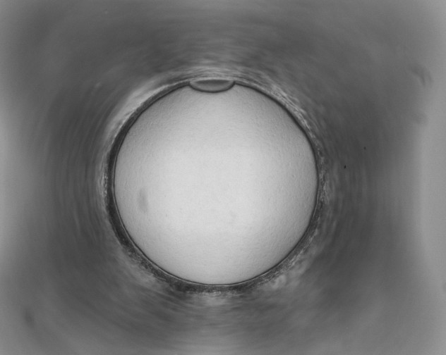 X0000111800103200908061207