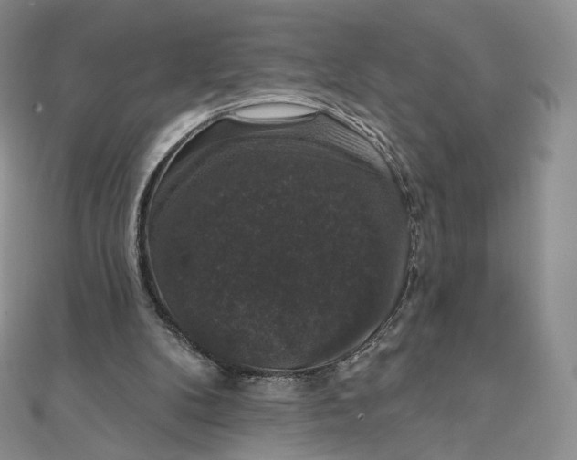 X0000111800104200908061207