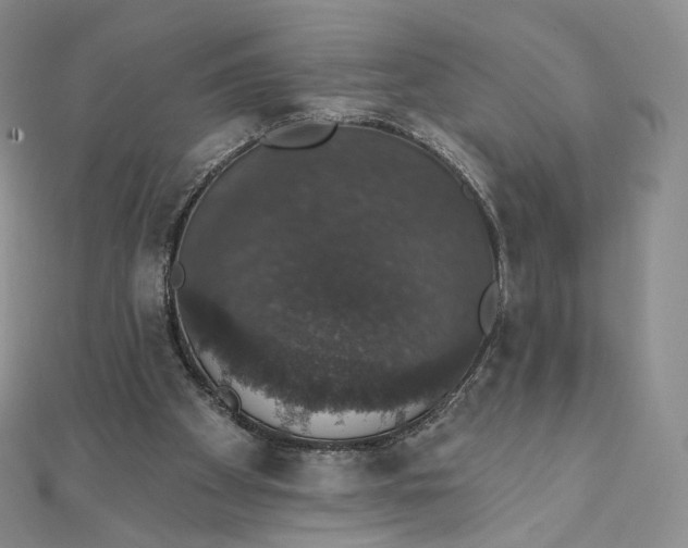 X0000111800105200908061207