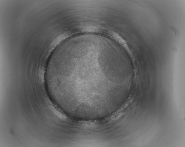 X0000111800106200908061207